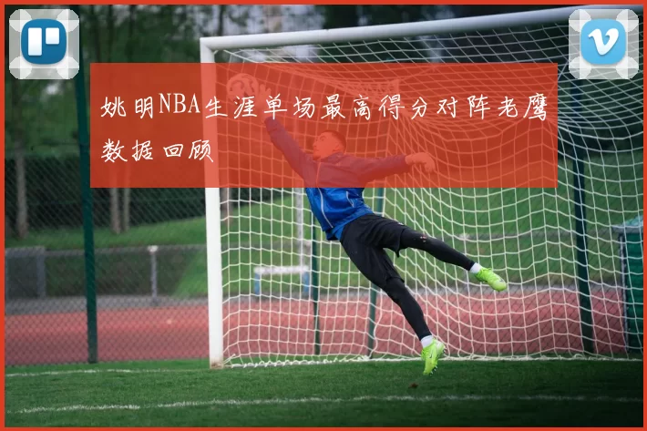姚明NBA生涯单场最高得分对阵老鹰数据回顾