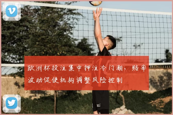 欧洲杯投注集中押注冷门潮,赔率波动促使机构调整风险控制