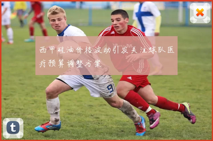 西甲硅油价格波动引发关注球队医疗预算调整方案