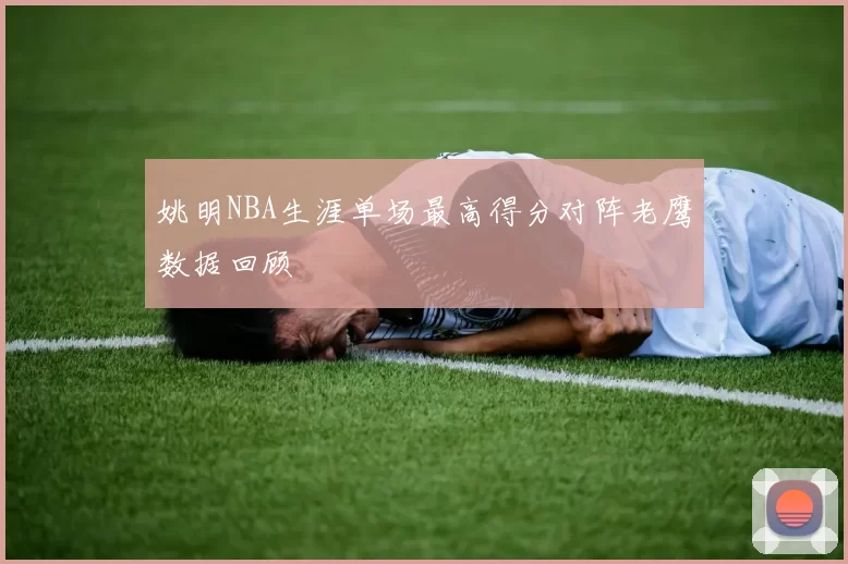 姚明NBA生涯单场最高得分对阵老鹰数据回顾