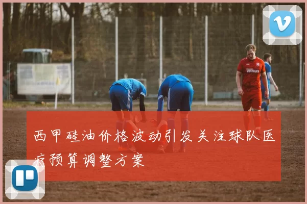 西甲硅油价格波动引发关注球队医疗预算调整方案