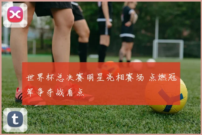 世界杯总决赛明星亮相赛场 点燃冠军争夺战看点