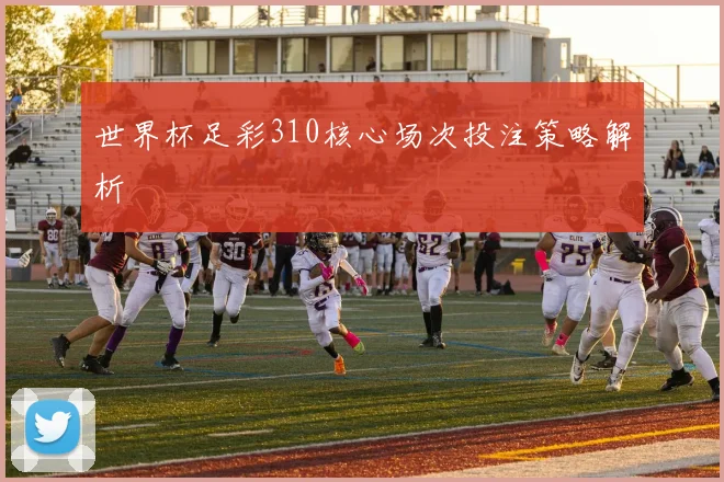 世界杯足彩310核心场次投注策略解析